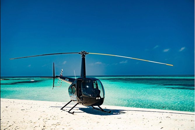 Helicopter Ride